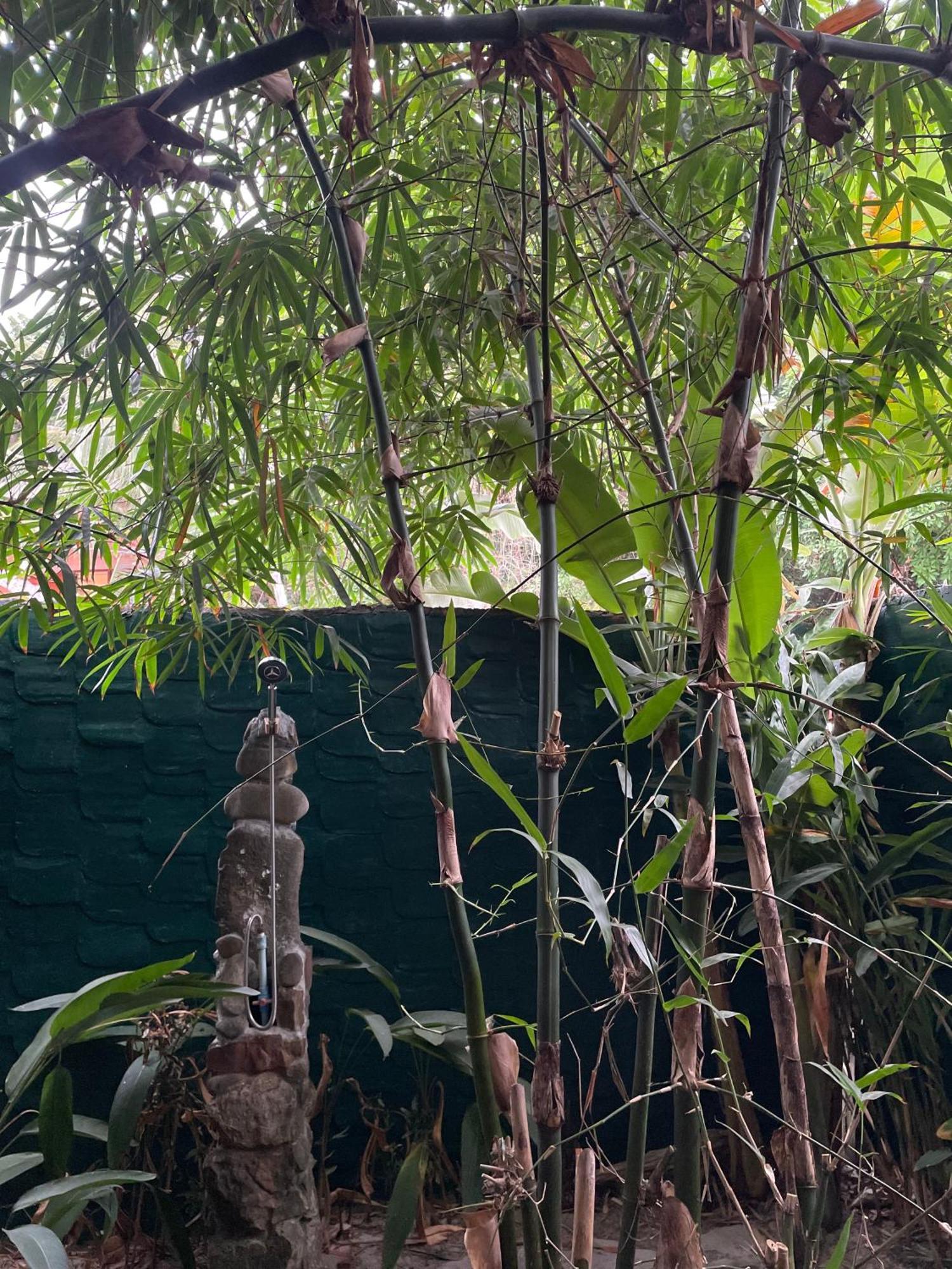 Yaiya Hostel & Smoothie Bar Kaoh Touch Bagian luar foto